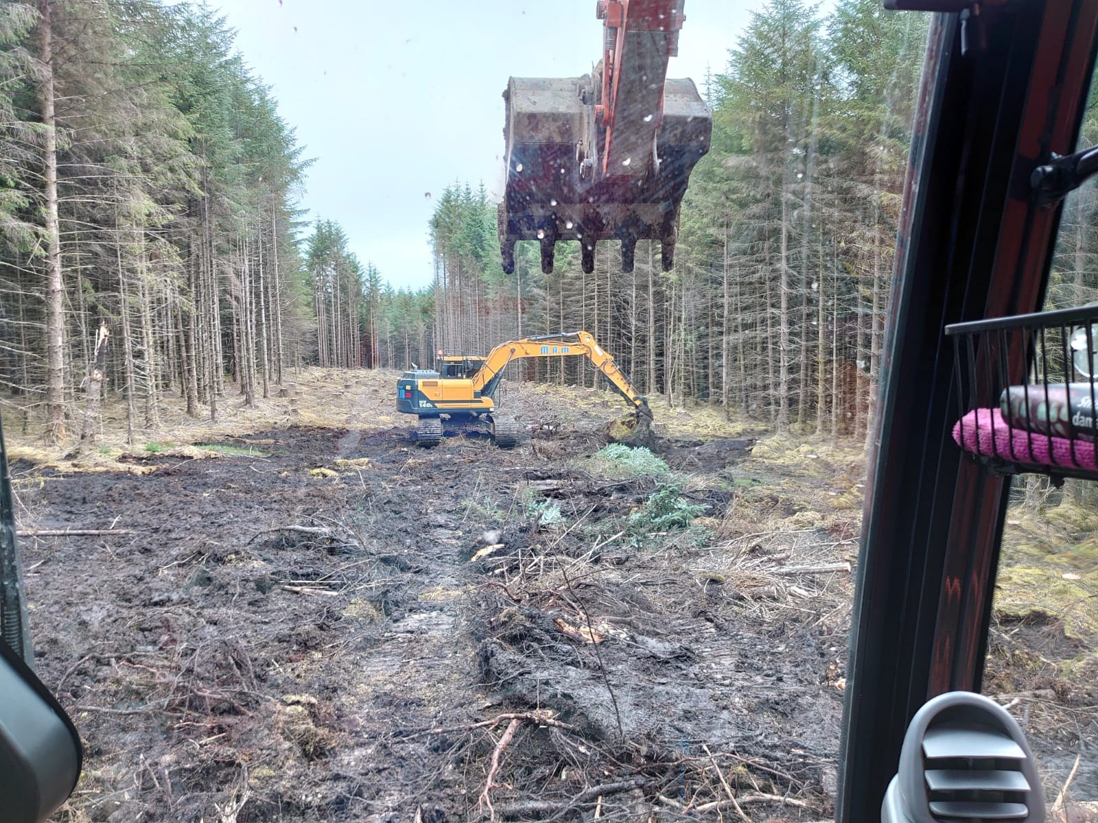 Forestry Project CORLARACH